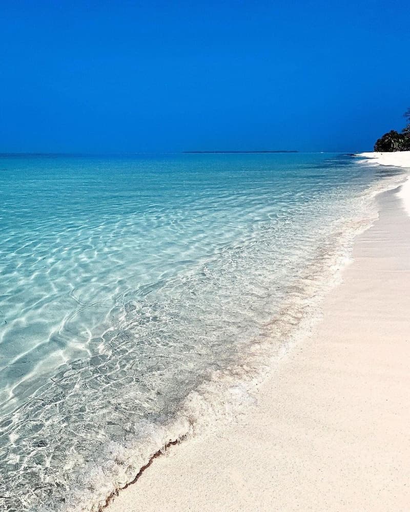 Blue Coral Vashafaru - View 39