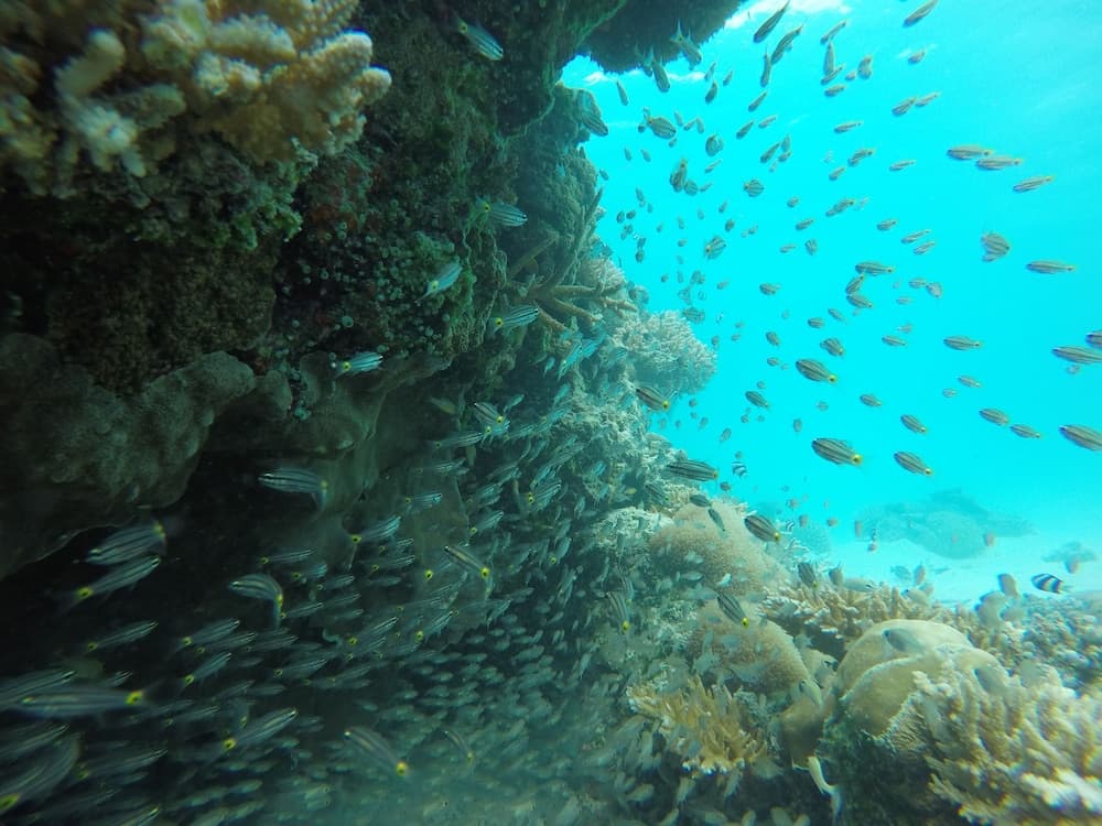 Ras Beach Inn - View 32