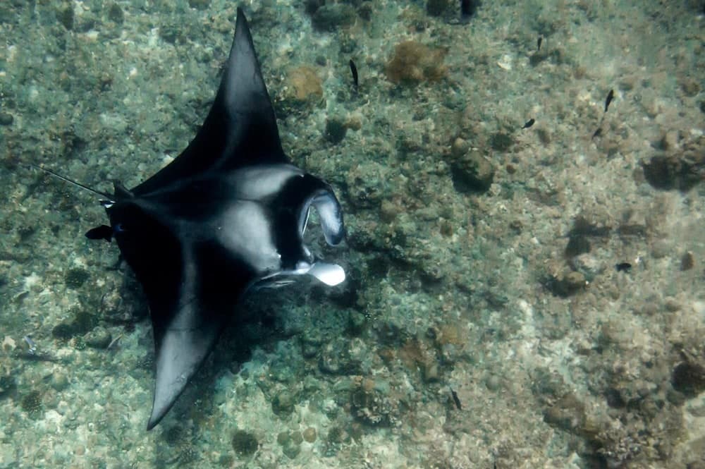 Detour Beach View - View 3