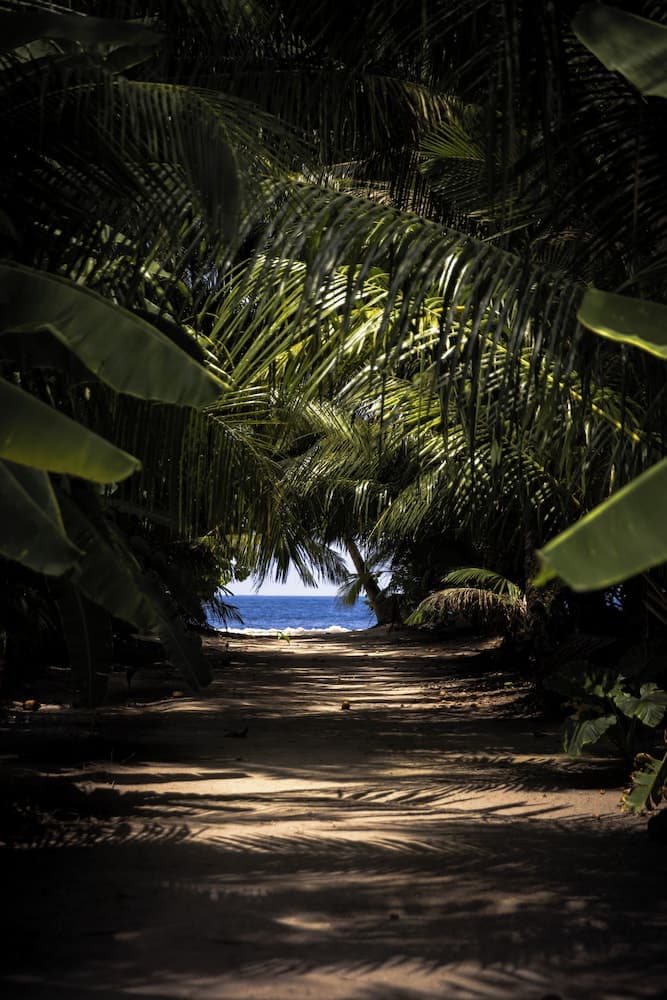 Dhoani Maldives Guesthouse - View 32