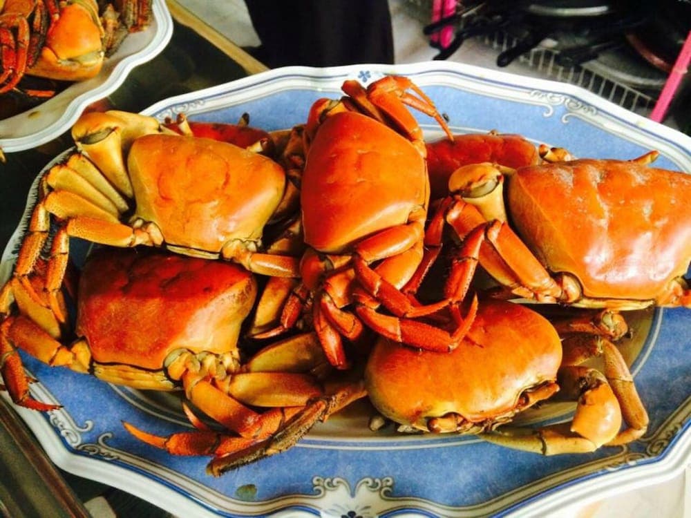 Lily Rest Maldives - View 17