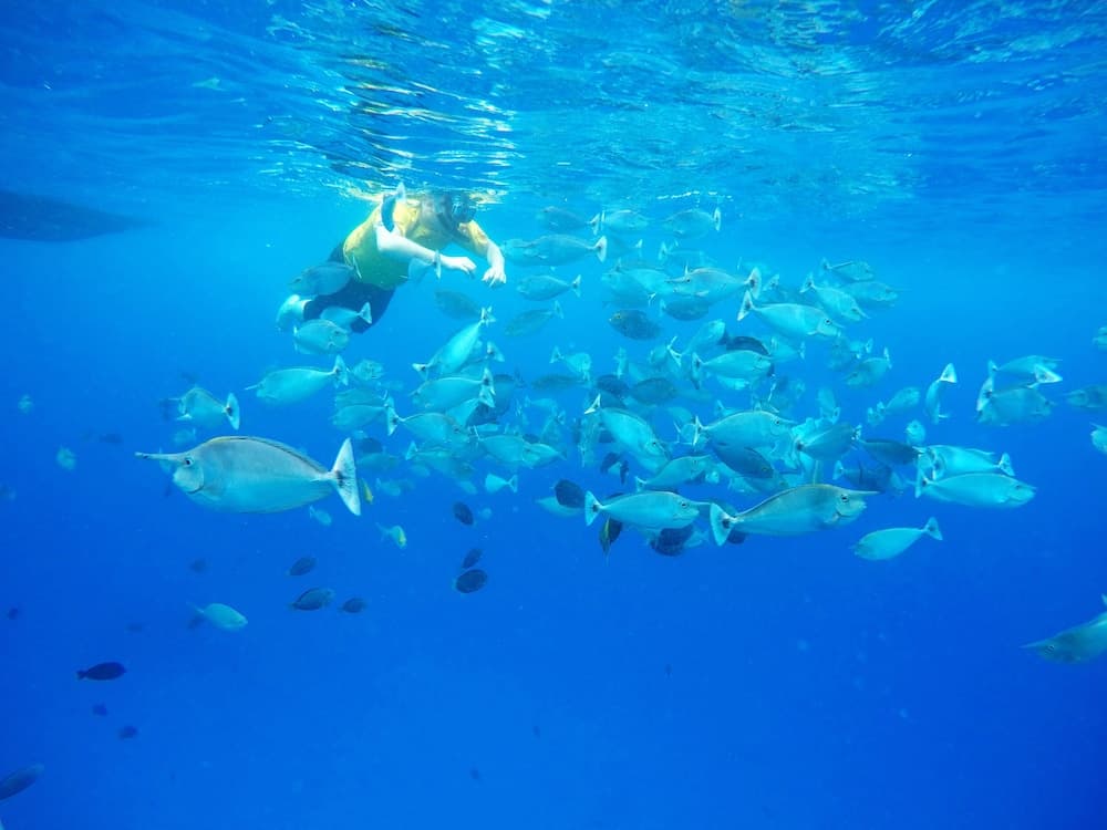 Adroit Beach Inn - View 21