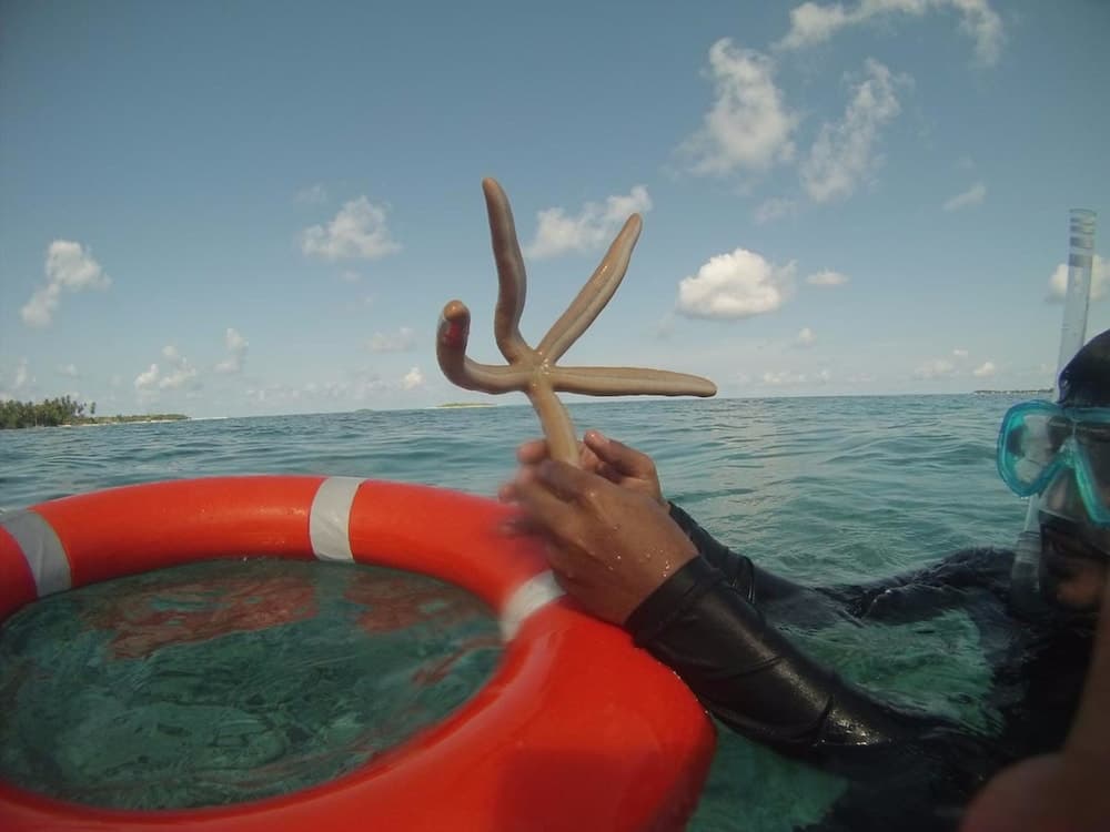 Summer Shade Maldives - View 19