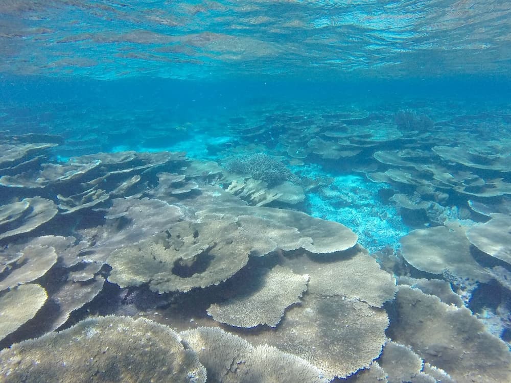 Starry Night At Ukulhas - View 46