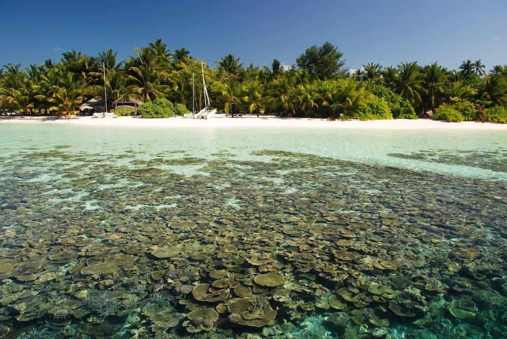 Vilamendhoo Island Resort & Spa - View 35