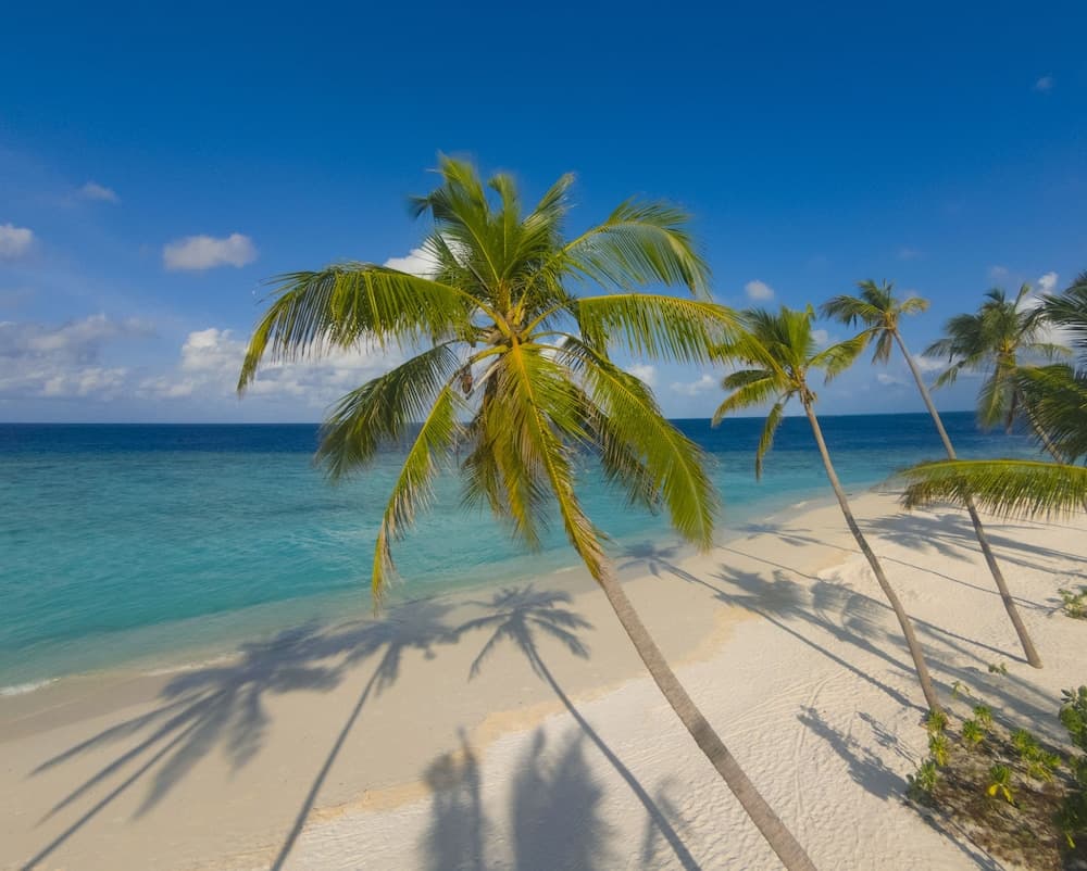 Milaidhoo Maldives - View 106