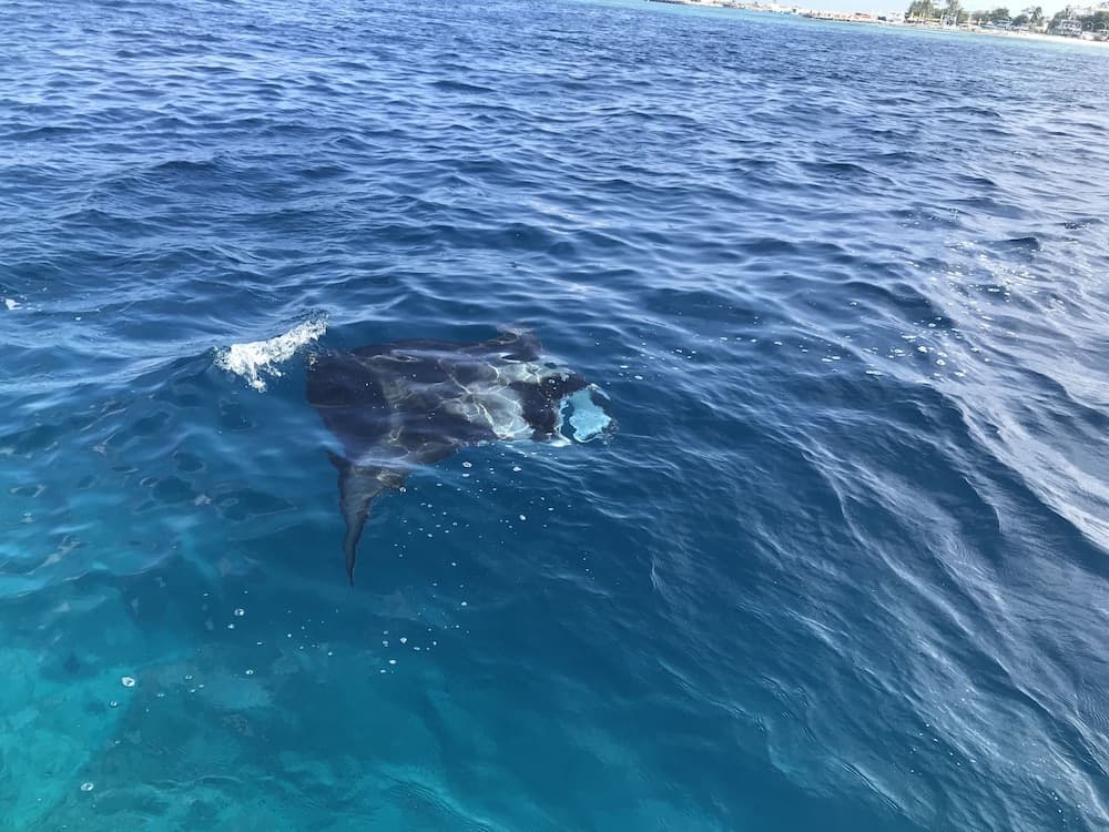 Yacht Fascination Maldives - View 35