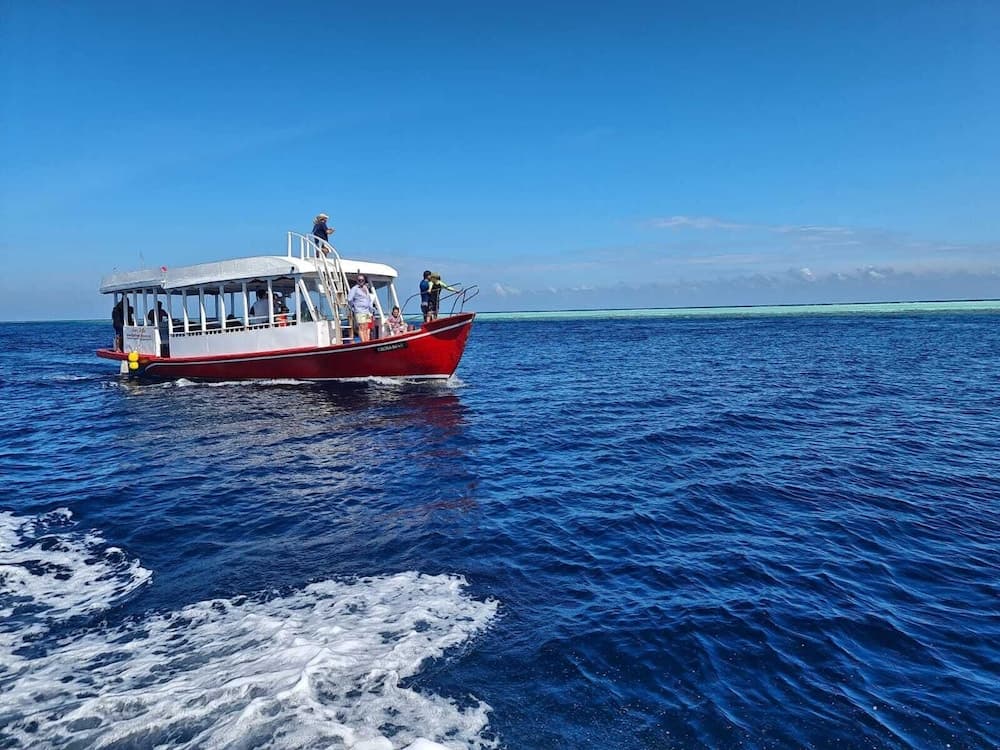 Liberty Guest House Maldives - View 283