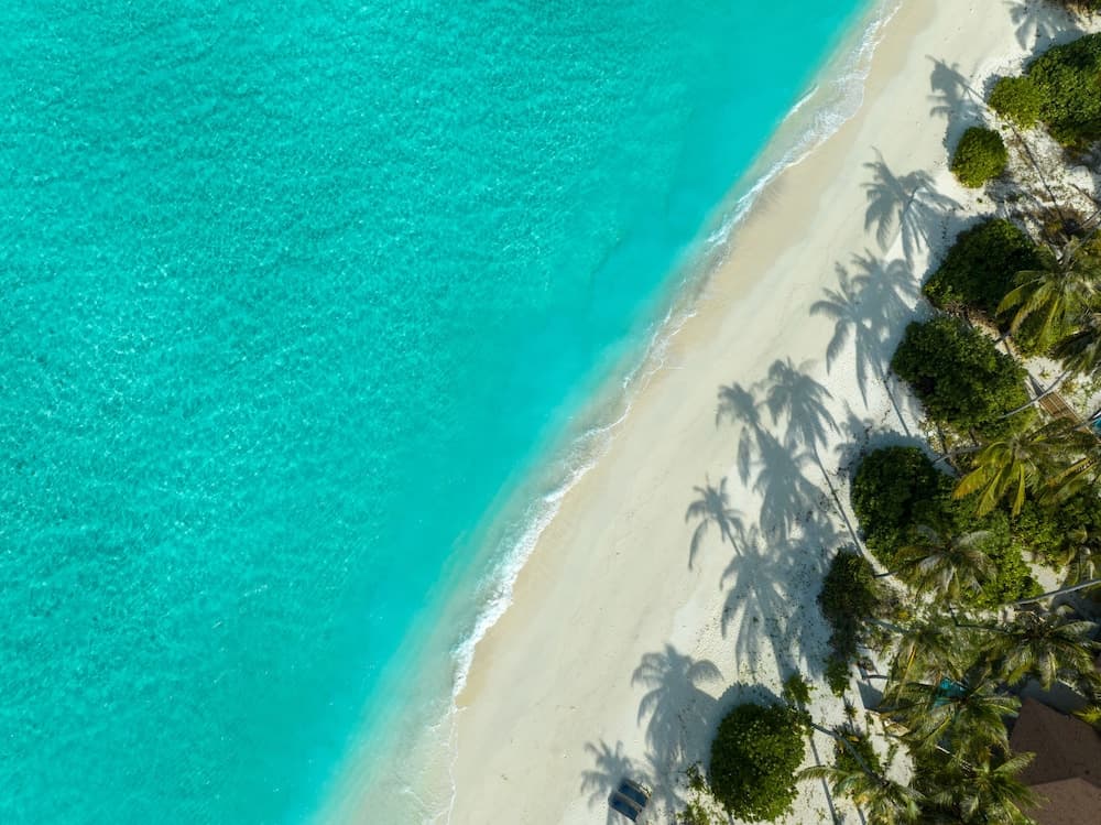 Avani+ Fares Maldives Resort - View 14