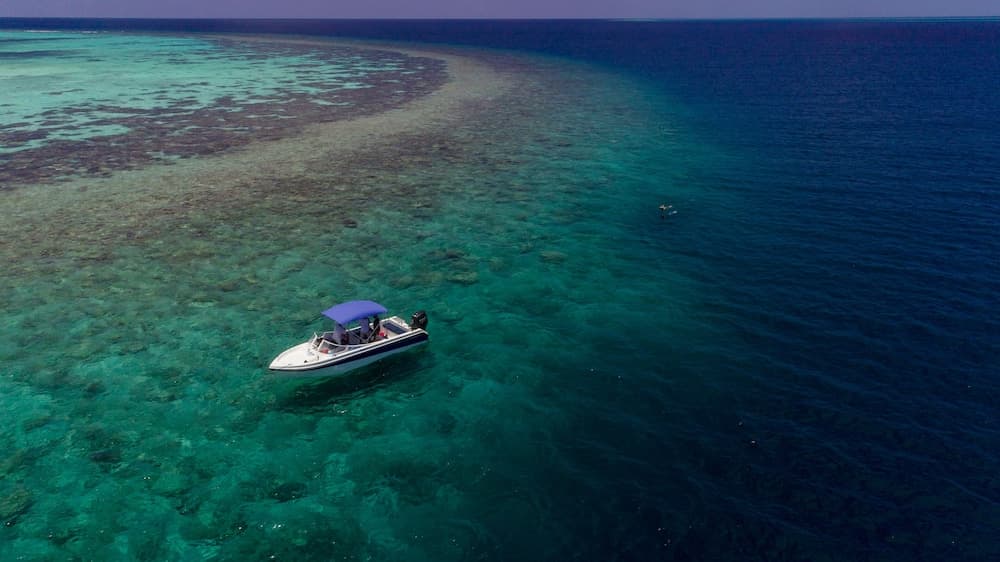 West Sands - View 58