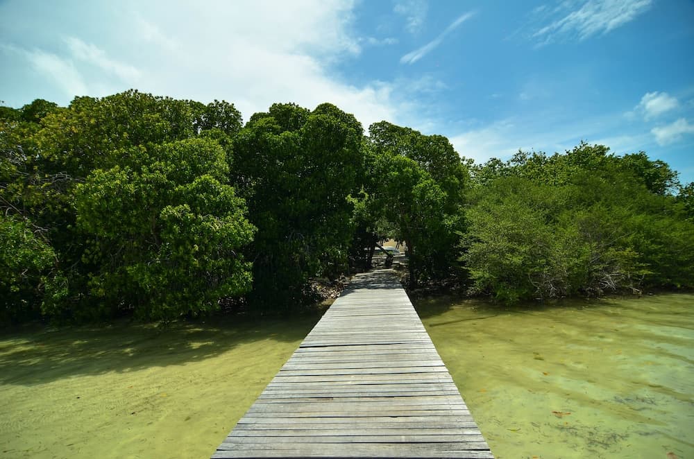 Huraa East Inn - View 24