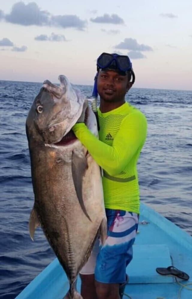 Charming Holiday Lodge - View 30