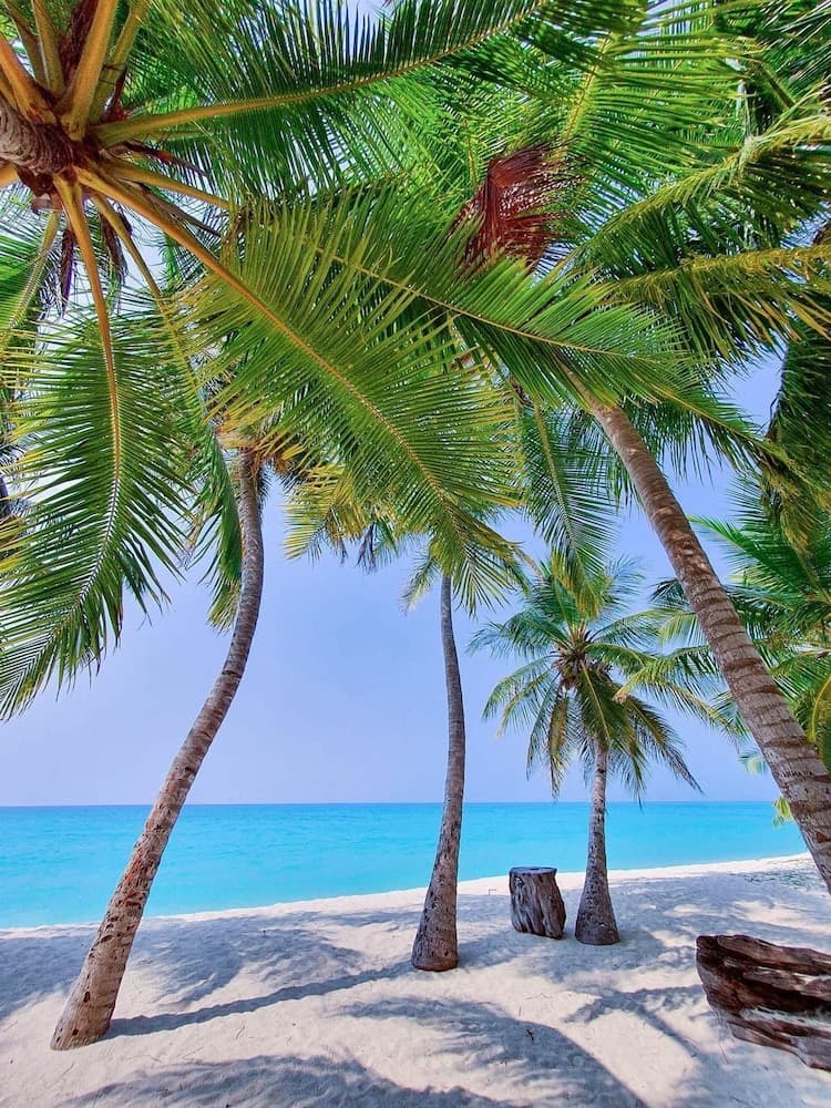 Blue Coral Vashafaru - View 30