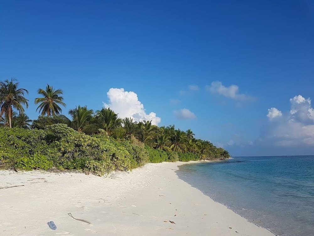 Thoddoo Beach Holiday Inn - View 37