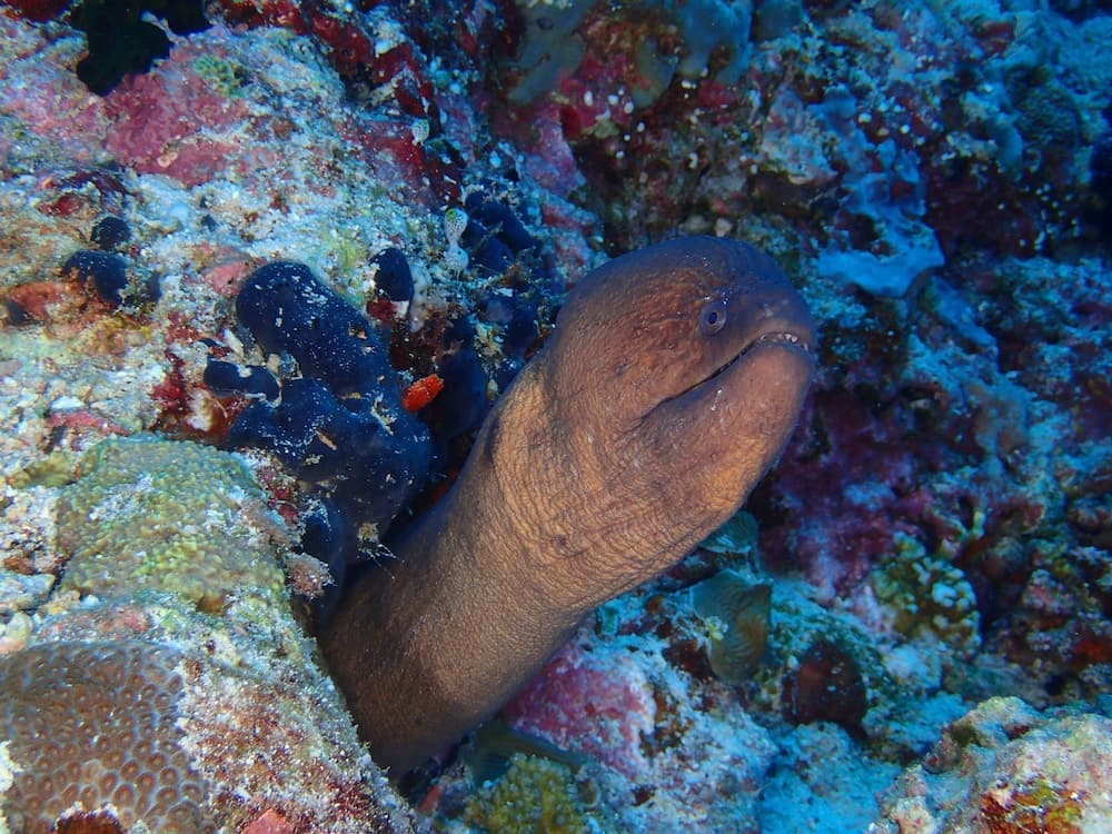 Rasdhoo Holiday Home - View 59