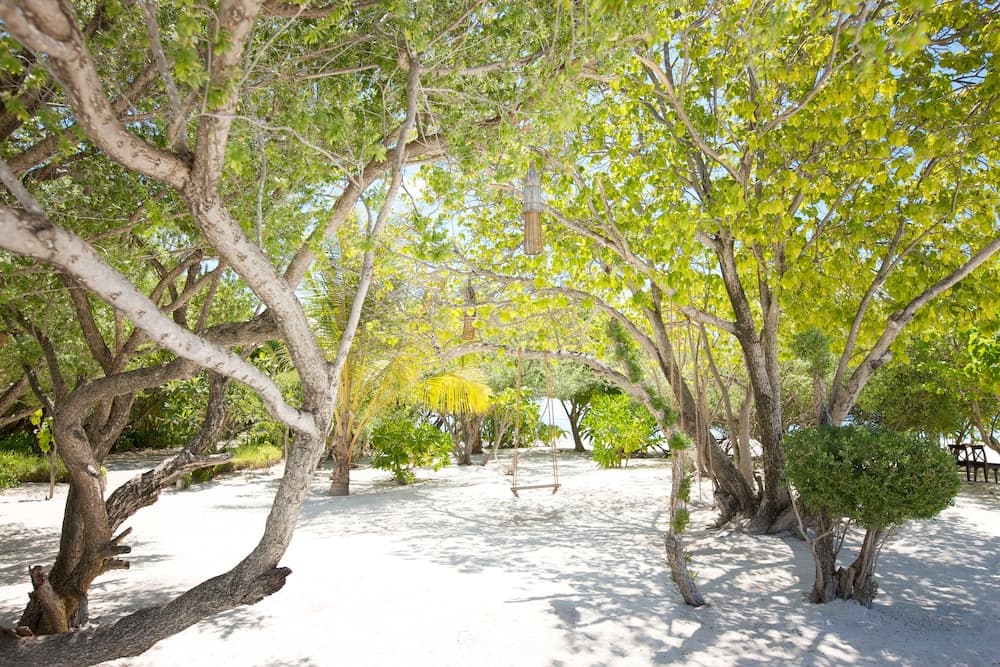 LUX* South Ari Atoll - View 48