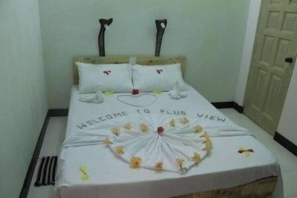 Plus View Maldives - View 7