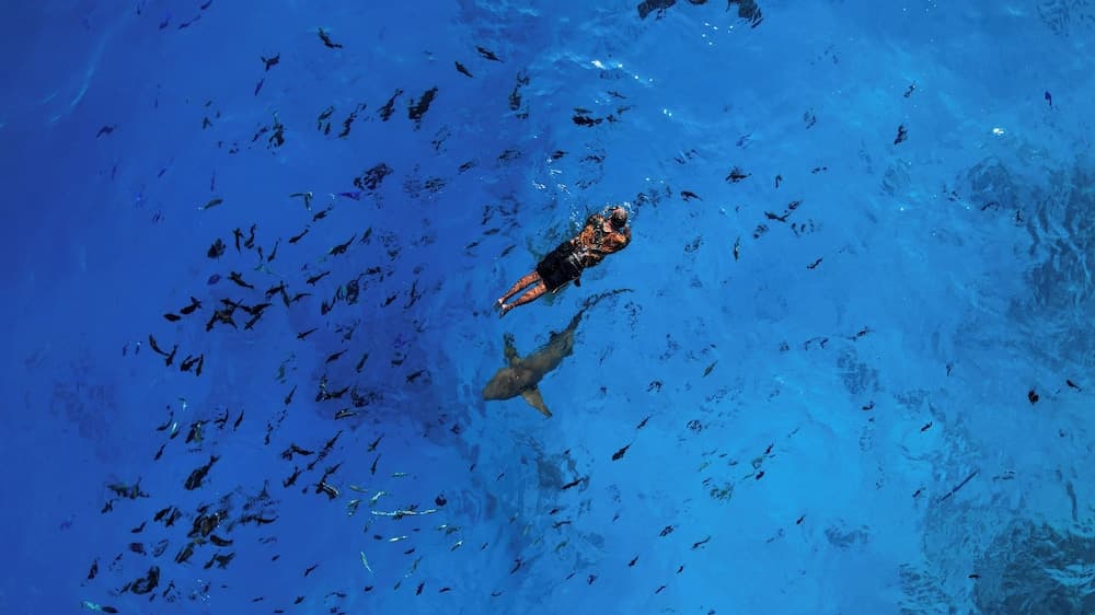 SEASUNBEACH MAAFUSHI - View 32