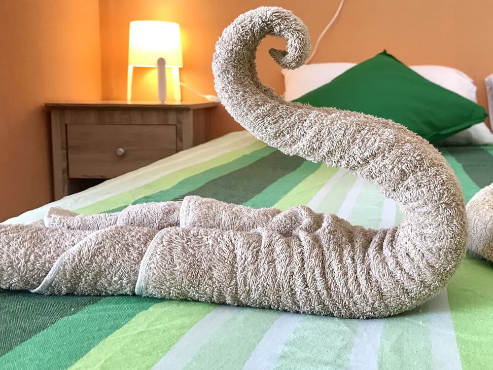 Beach Heaven Maldives - Golden Turtle Guest House - View 12