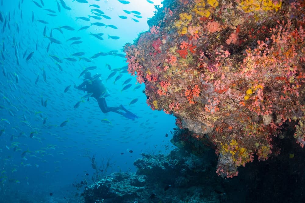 Milaidhoo Maldives - View 8