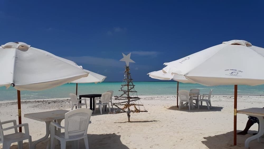 Hudhu Raakani Lodge - View 34