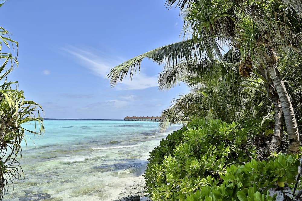 ROBINSON MALDIVES - Adults only - All Inclusive - View 73