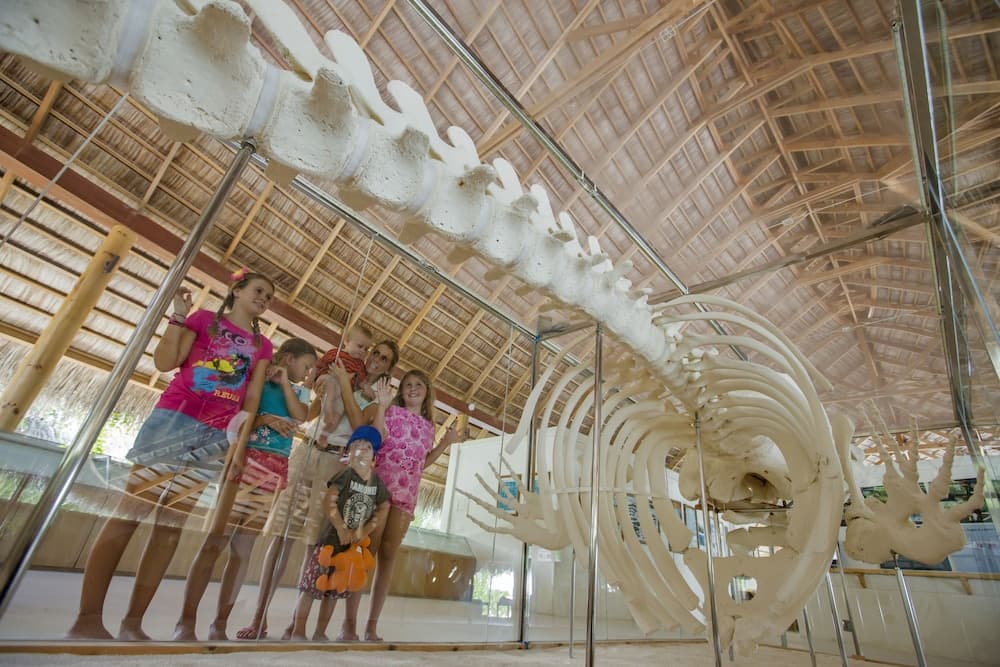 Kuramathi Maldives - View 31