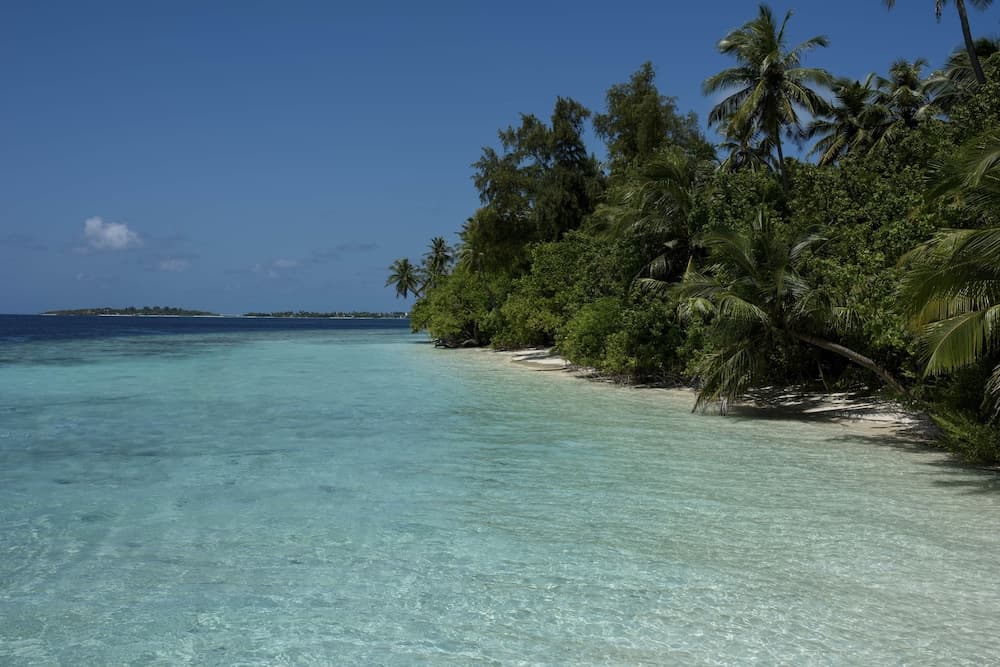 Biyadhoo Island Resort - View 44