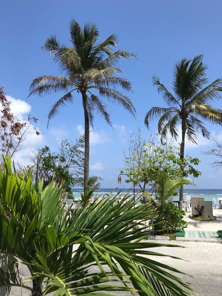 Airport Comfort Inn Premium - View 17