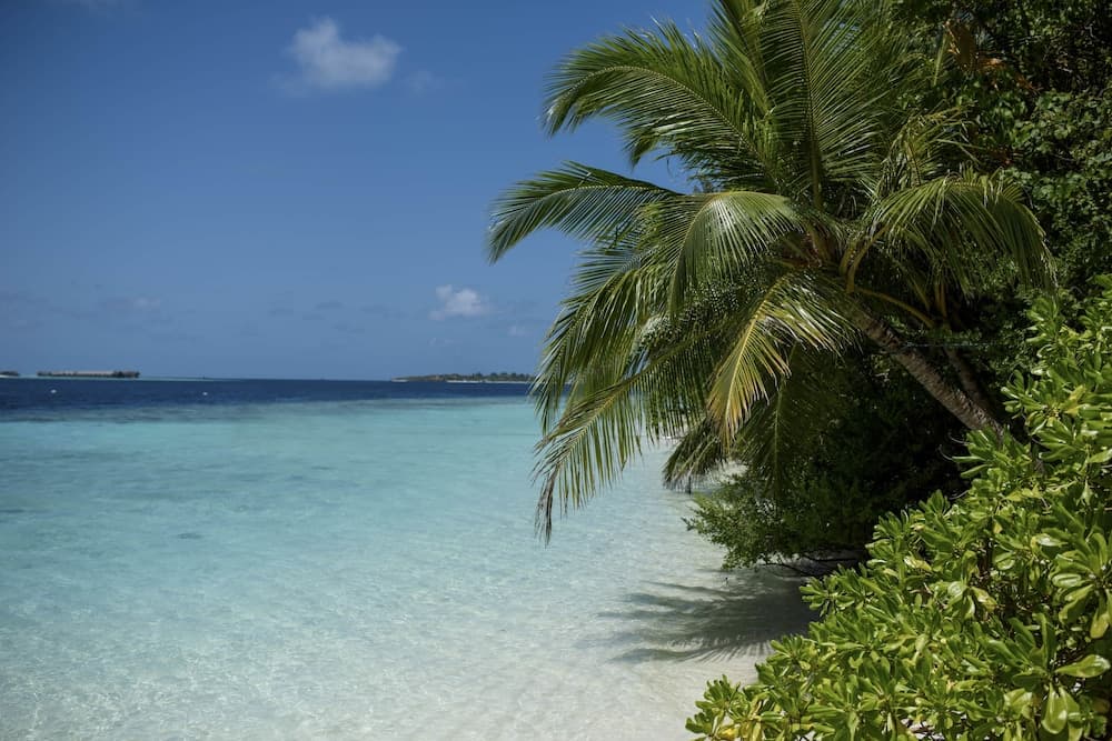 Biyadhoo Island Resort - View 73
