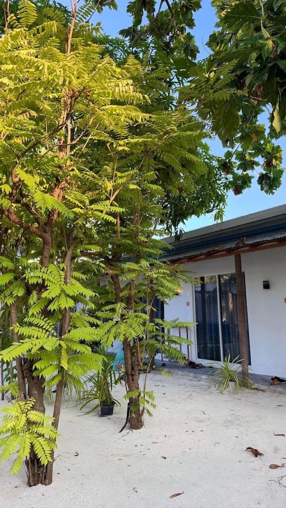 Navaya Dhiffushi - View 27