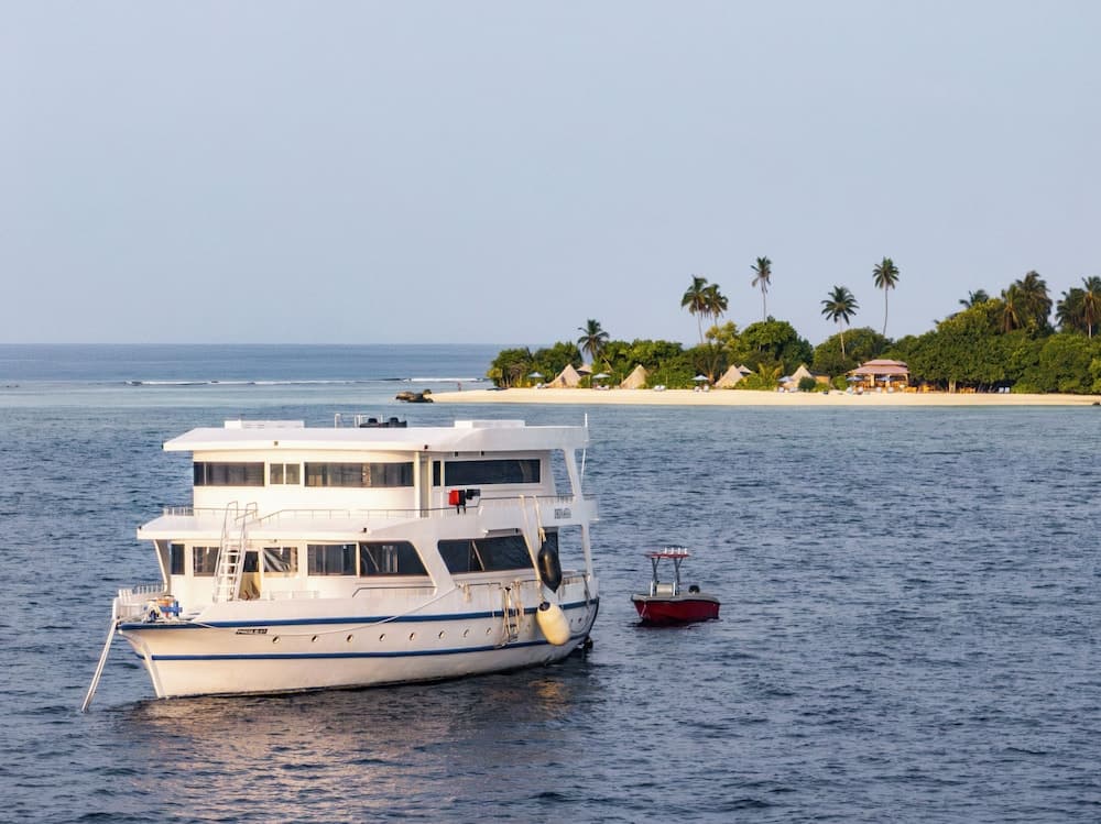 The Maverick Surf and Dive Boutique Hotel - View 21