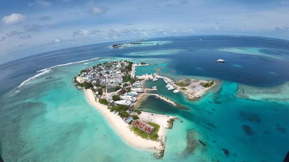 Coquillage Inn - View 17