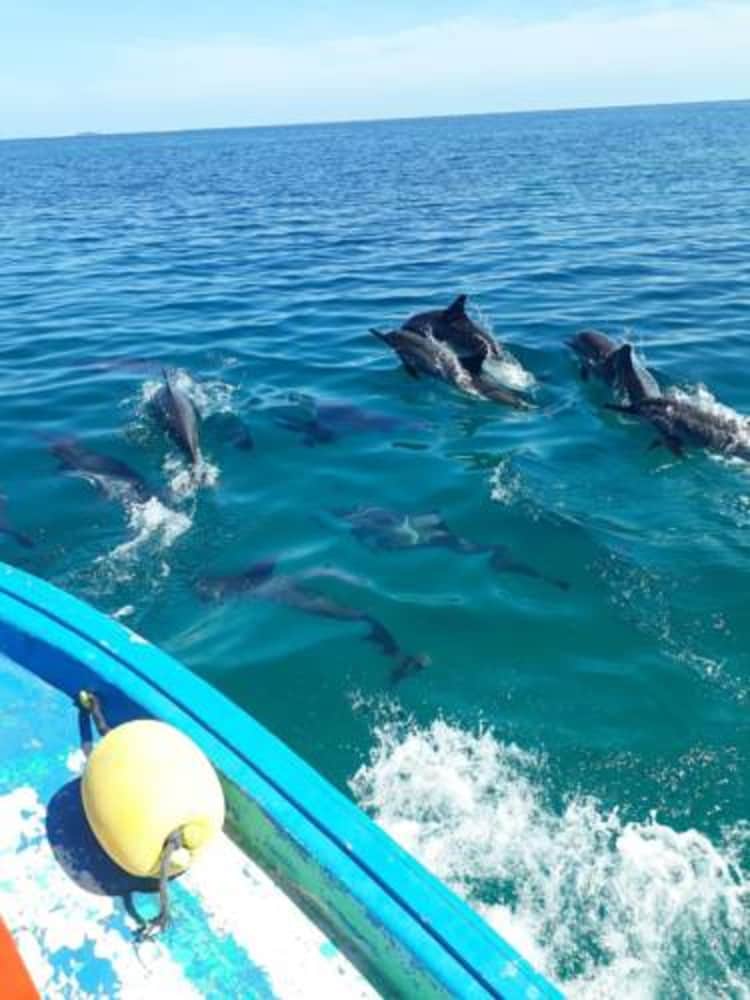 Wunderbar Inn - View 17