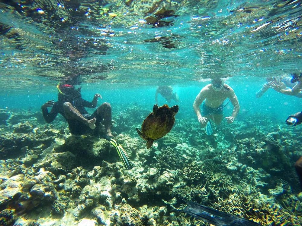 Adroit Beach Inn - View 45