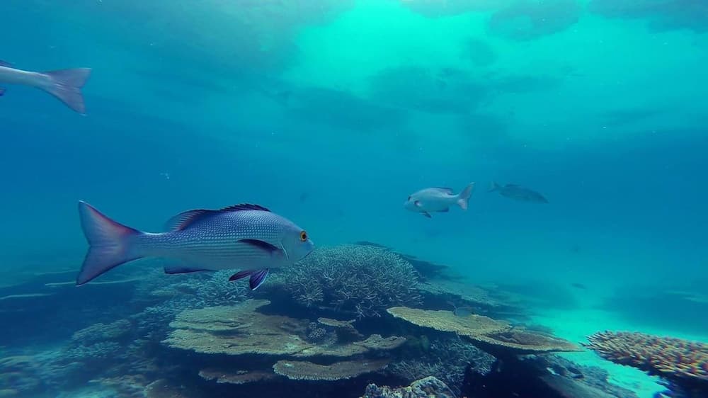 Island Vista Inn - View 21