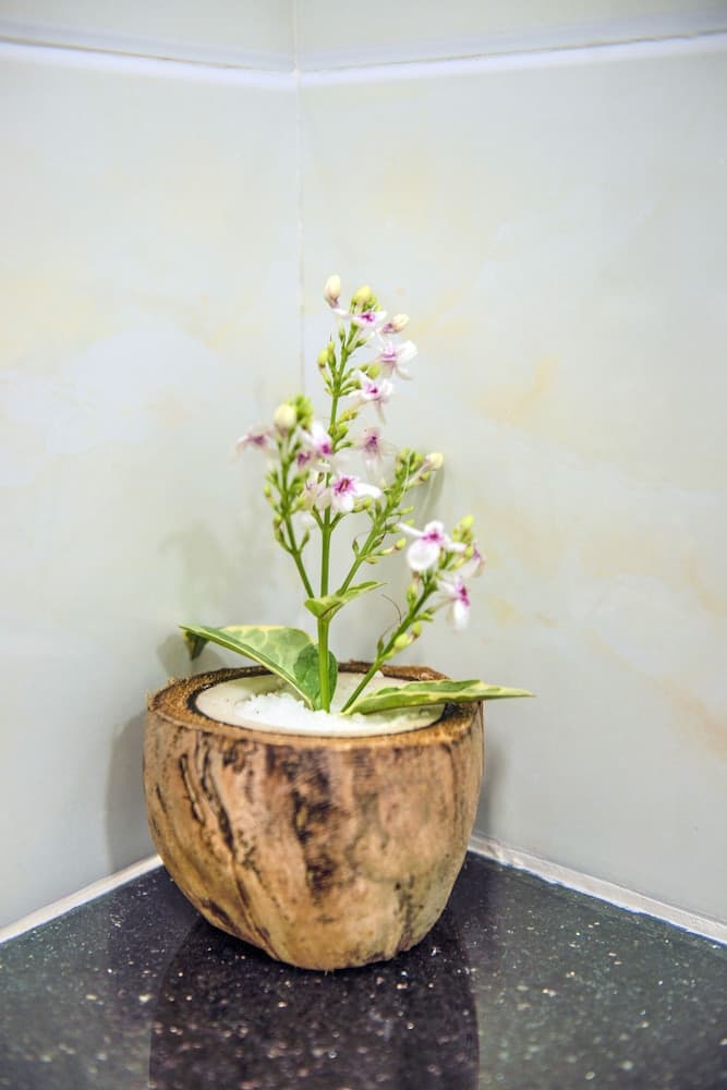 Tropical Biosphere Hotel - View 28