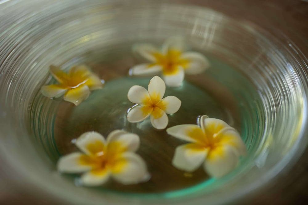 Barceló Whale Lagoon Maldives - View 118