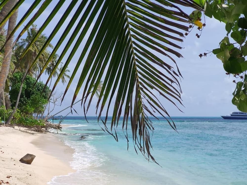 Orimas Retreat - View 41