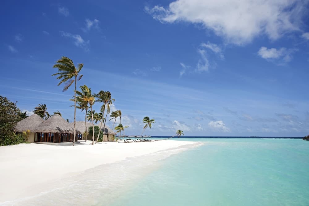 Constance Halaveli - View 6