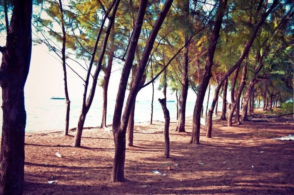 BEACH PALACE HOTEL - View 38