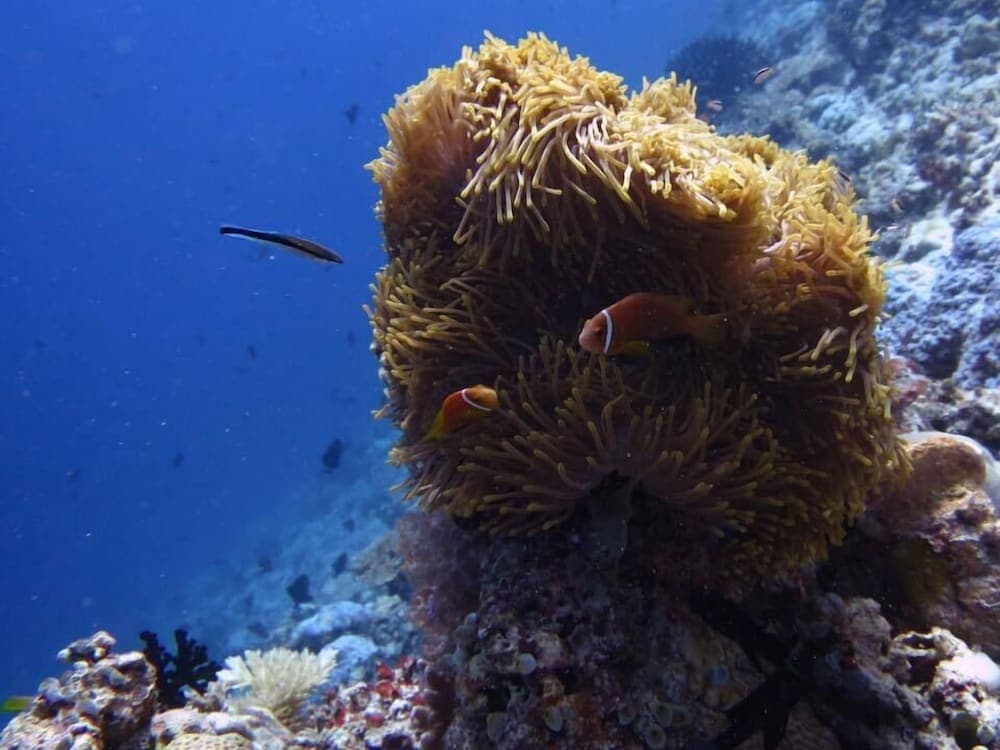 Rasdhoo Holiday Home - View 79