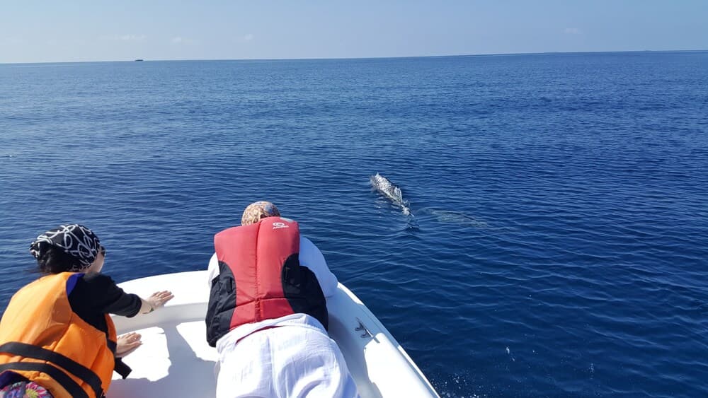 Lagoon View Maldives - View 75