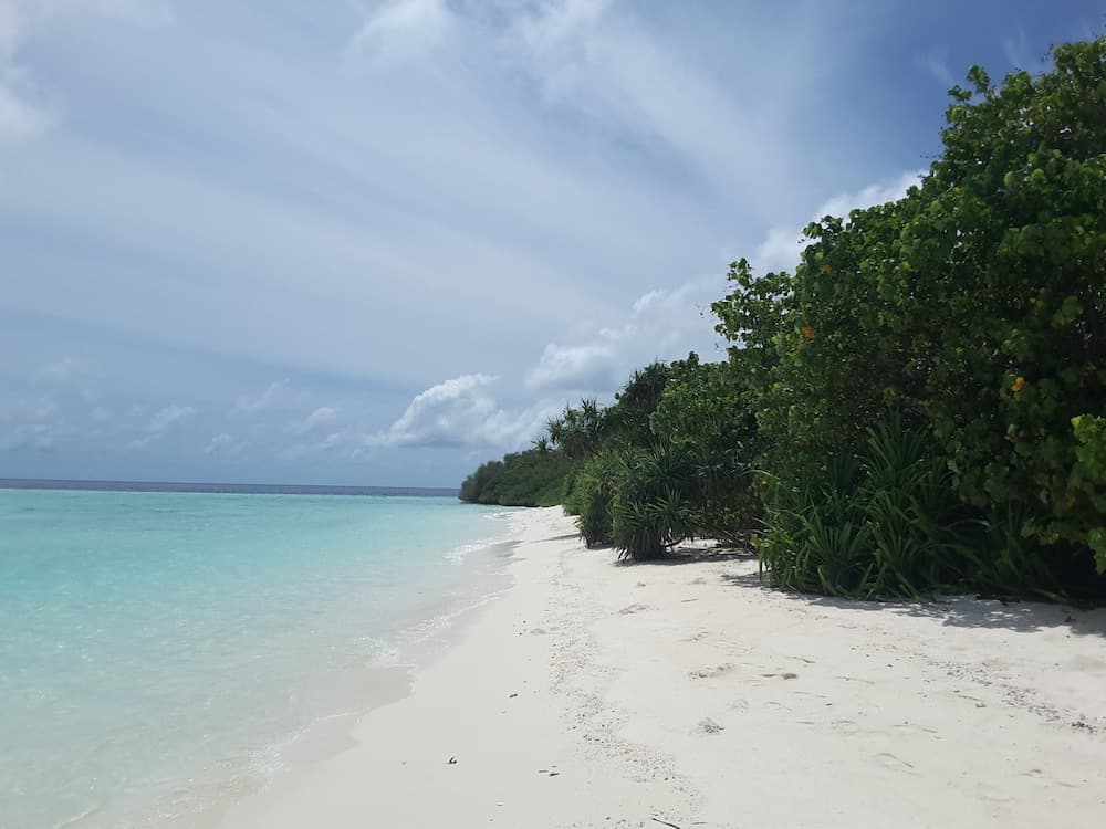 Magic Life Guest House - View 16
