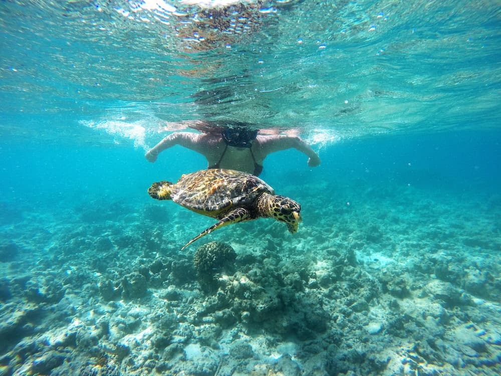 Adroit Beach Inn - View 154