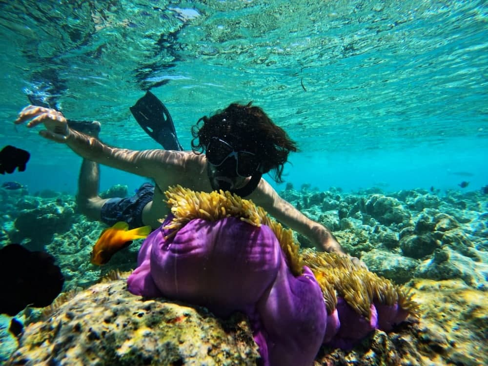 Adroit Beach Inn - View 121