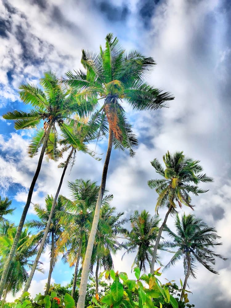 Ocean Vibes Guesthouse - View 27