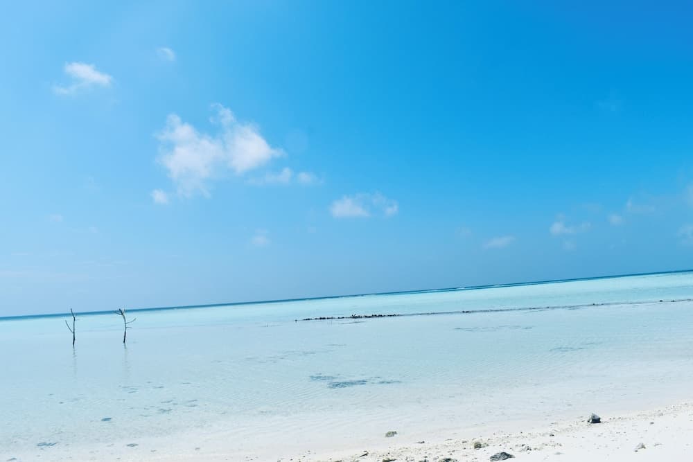 Rattehi Inn at Rakeedhoo - View 18