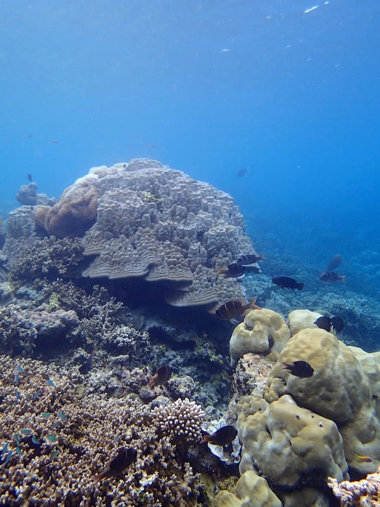 Wunderbar Inn - View 12