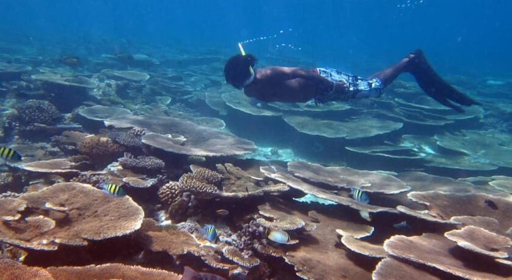 Asuruma View hotel - View 11